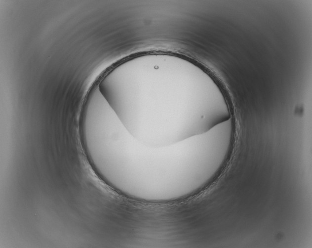 X0000112500936200909071241