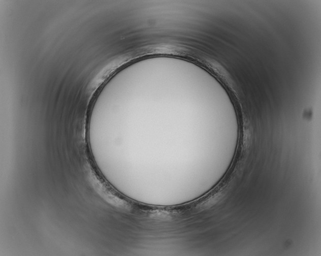 X0000112500938200909071241