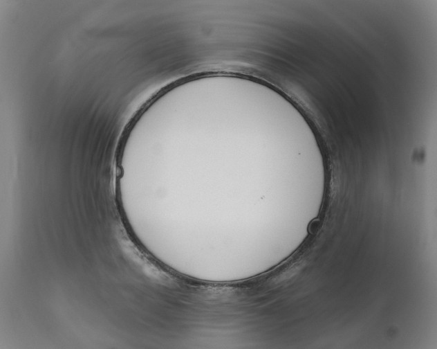 X0000112500940200909071241