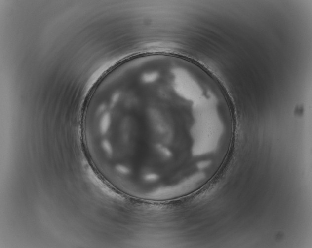 X0000112500941200909071241