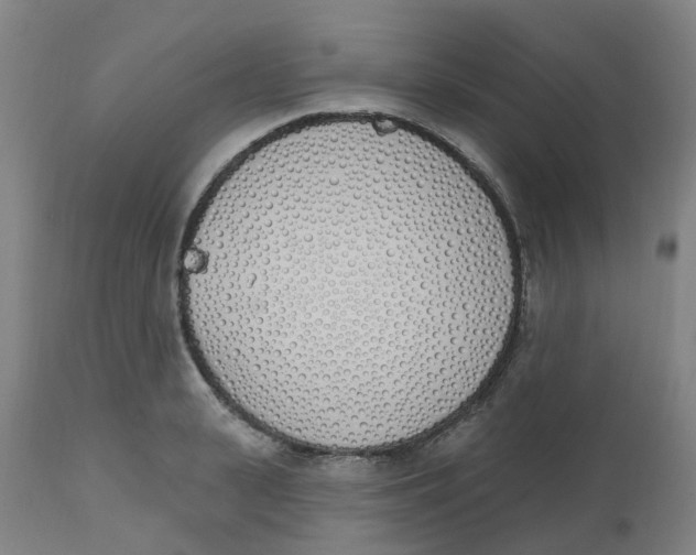 X0000112500943200909071241