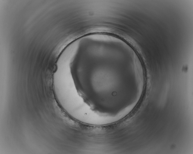 X0000112500945200909071241