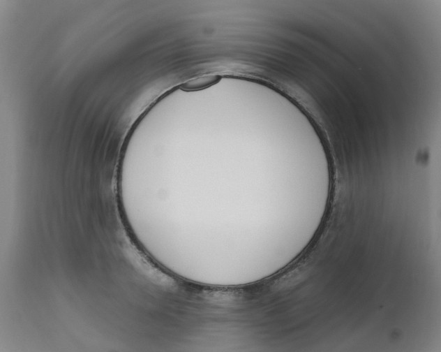 X0000112500946200909071241