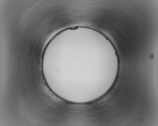 X0000112500948200909071241