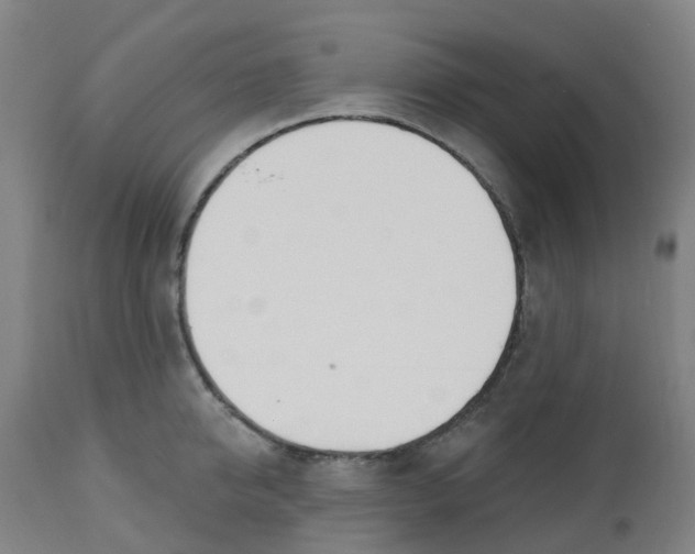 X0000112500950200909071242