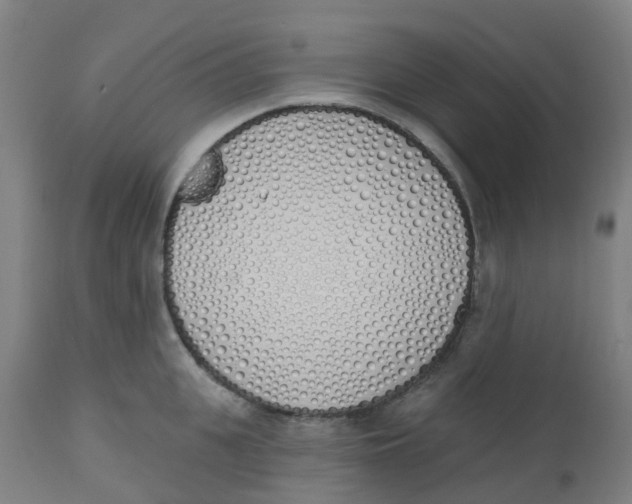 X0000112500951200909071242