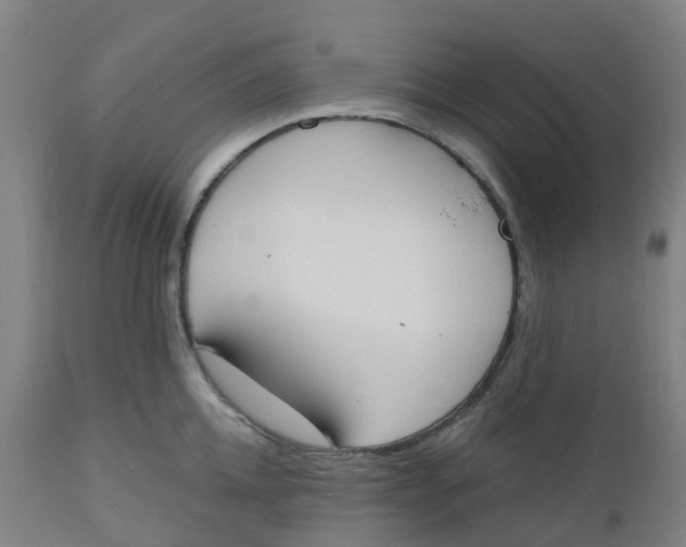 X0000112500952200909071242