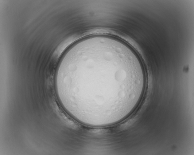 X0000112500953200909071242