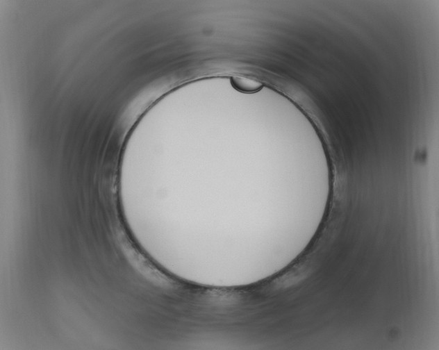 X0000112500954200909071242