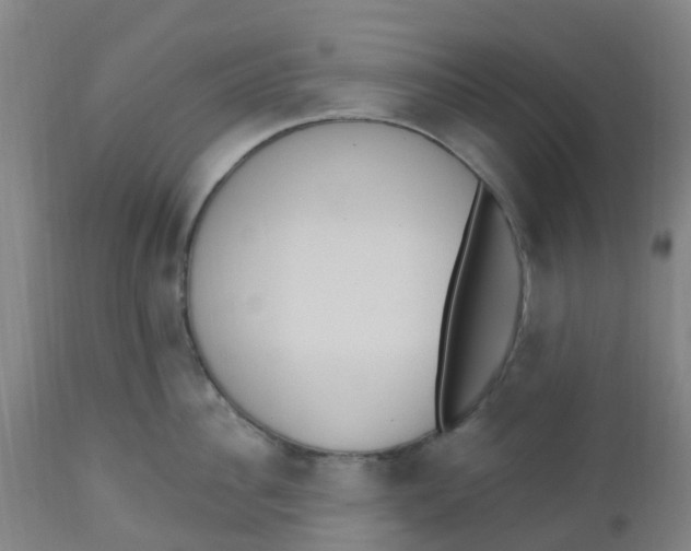 X0000112500956200909071242