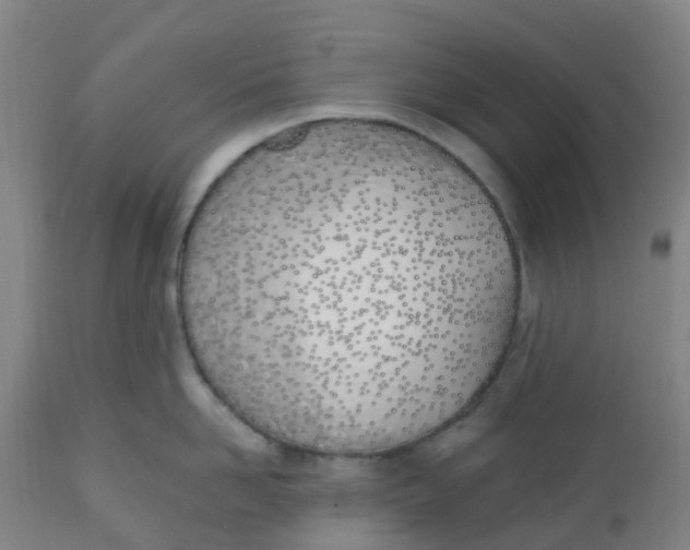 X0000112500958200909071242