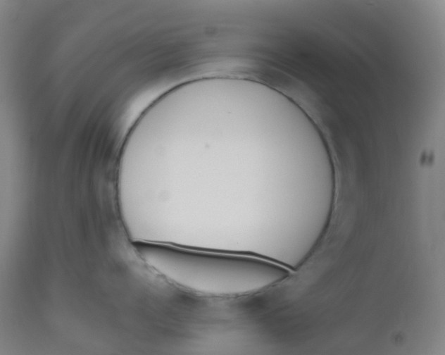 X0000112500960200909071242