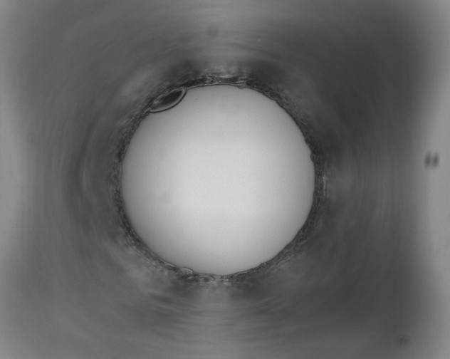 X0000112500961200909071241