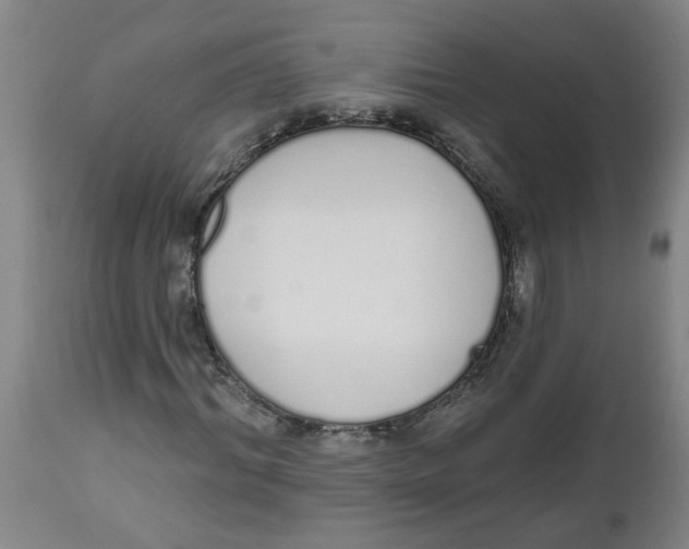 X0000112500964200909071241