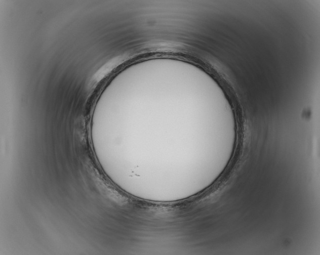 X0000112500970200909071241