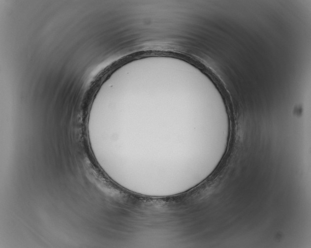 X0000112500971200909071241