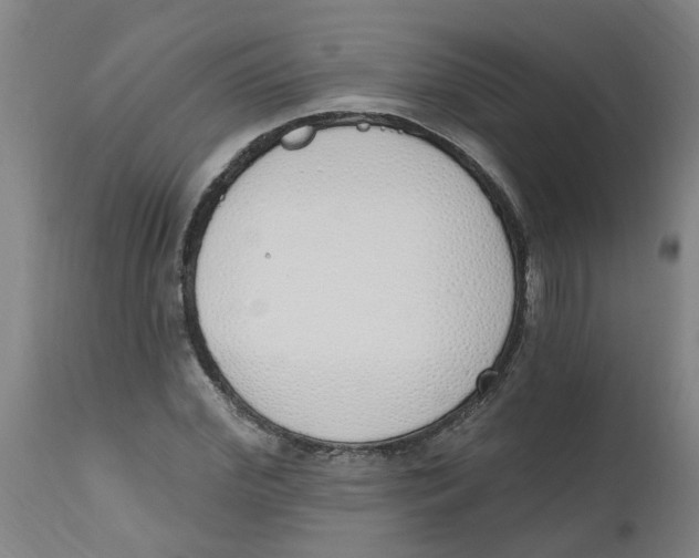 X0000112500972200909071241