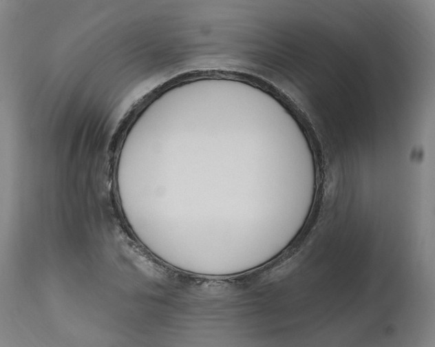 X0000112500974200909071241