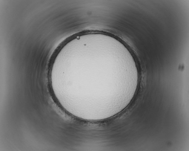 X0000112500976200909071241