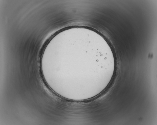 X0000112500981200909071241