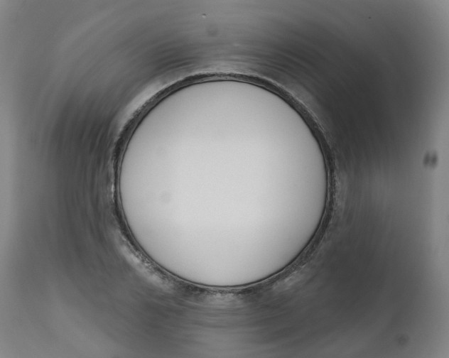 X0000112500982200909071241