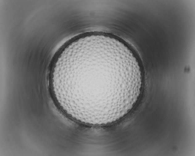 X0000112500983200909071241