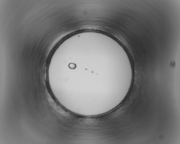 X0000112500984200909071241