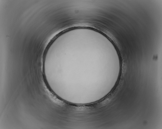 X0000112500988200909071241