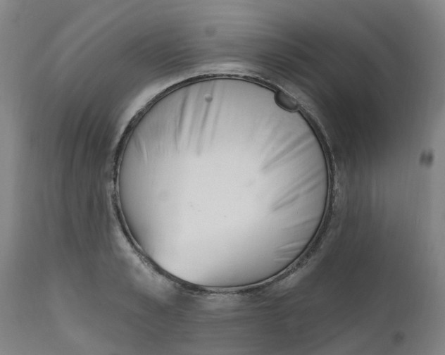 X0000112500989200909071241