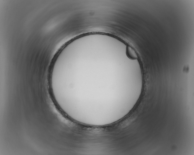 X0000112500991200909071241