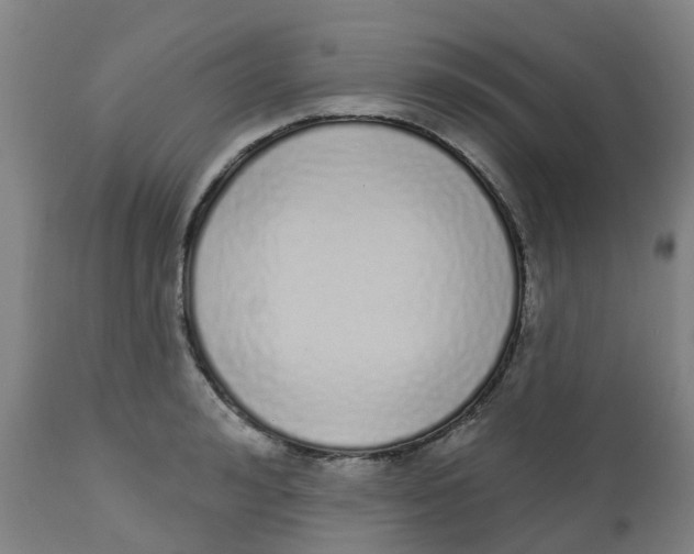 X0000112500992200909071241