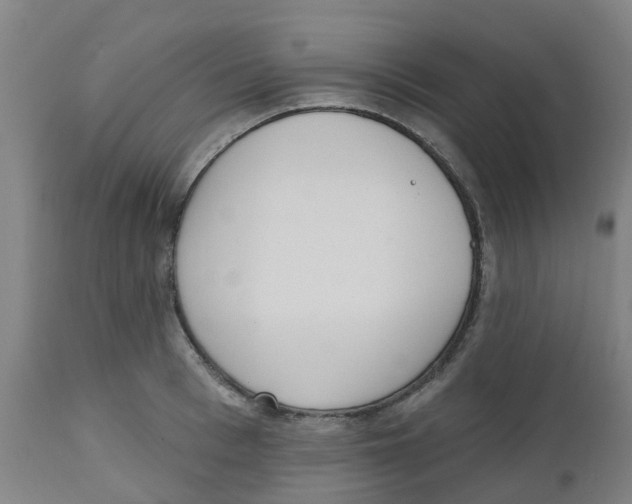 X0000112500993200909071240