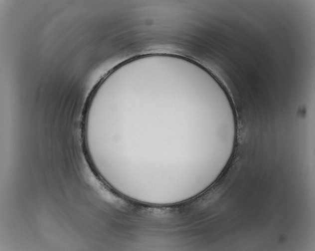 X0000112500995200909071240