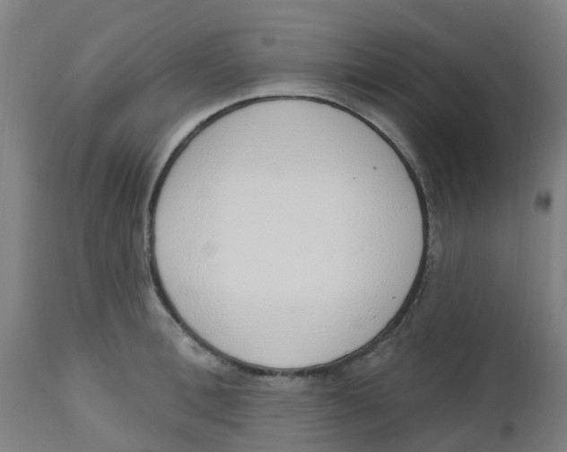 X0000112500996200909071240