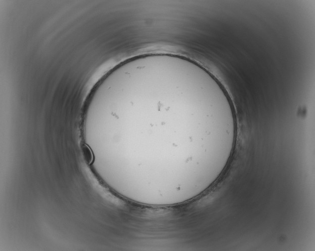 X0000112500997200909071240