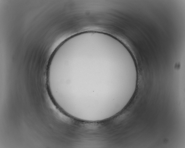 X0000112500999200909071240