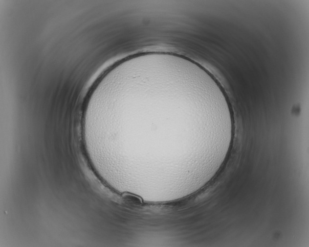 X0000112501000200909071240