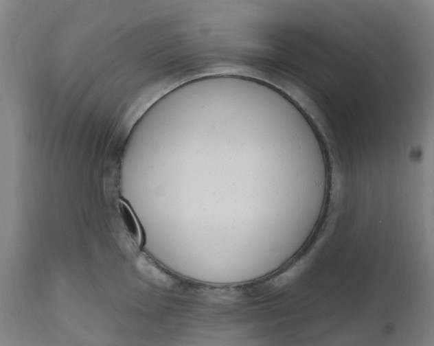 X0000112501001200909071240