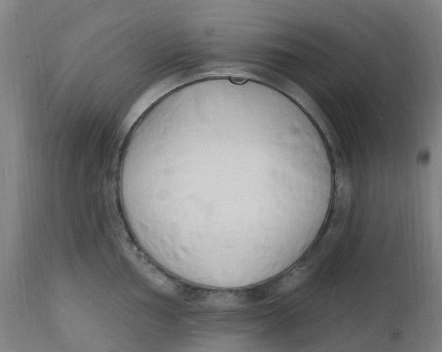 X0000112501002200909071240