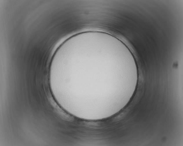 X0000112501004200909071240