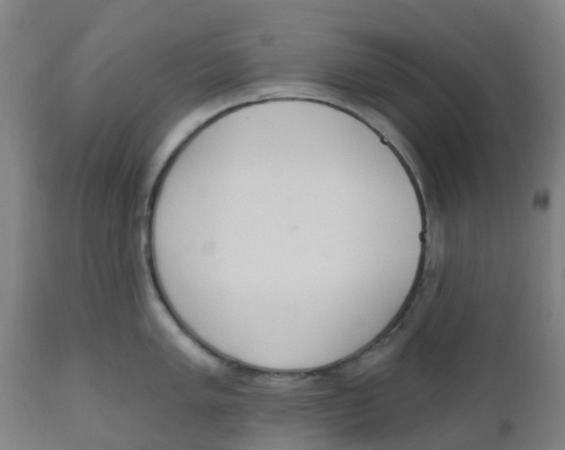 X0000112501005200909071240