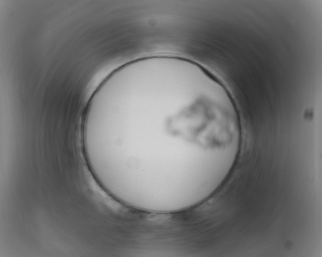 X0000112501006200909071240