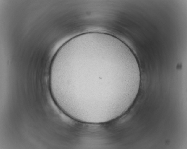 X0000112501007200909071240