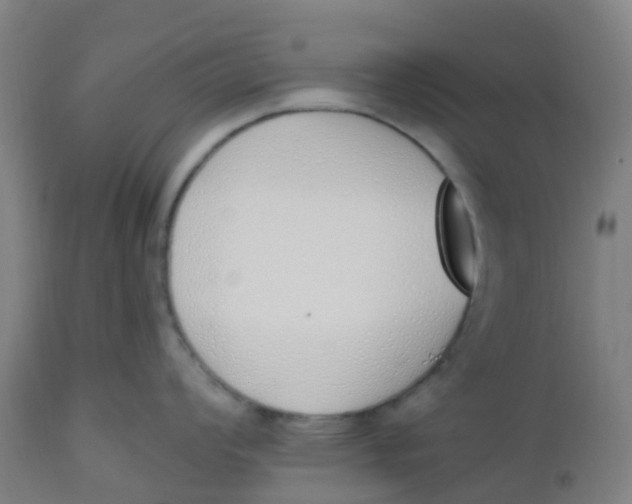 X0000112501008200909071240