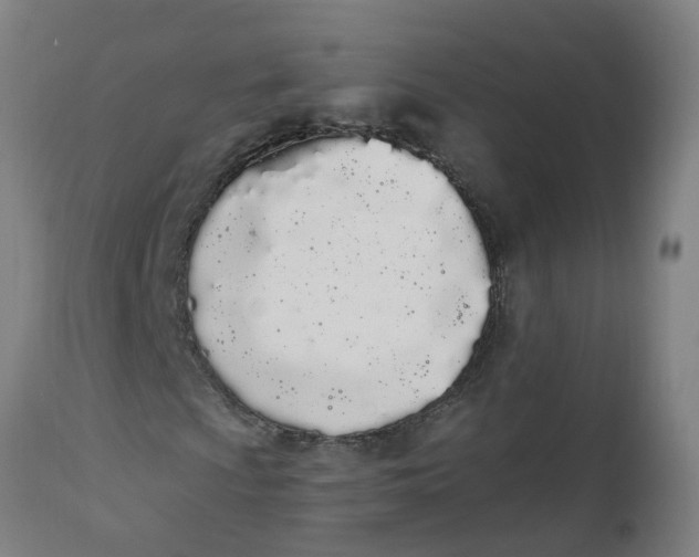 X0000112501009200909071240