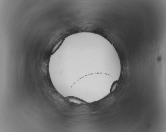 X0000112501010200909071240