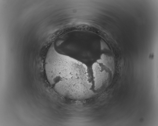 X0000112501013200909071240