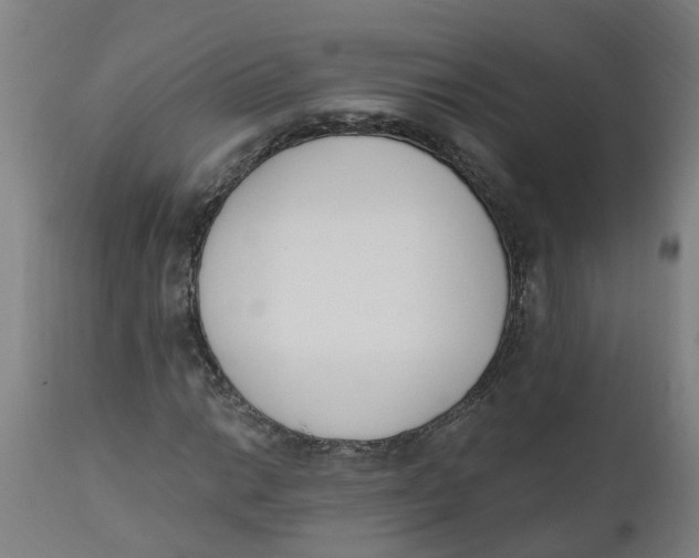 X0000112501014200909071240