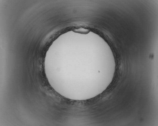 X0000112501016200909071240