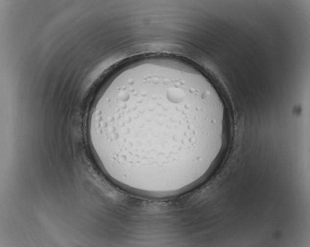 X0000112501019200909071240